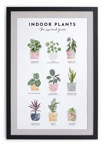 Zidna slika u okviru Really Nice Things Indoor Plants, 30 x 40 cm