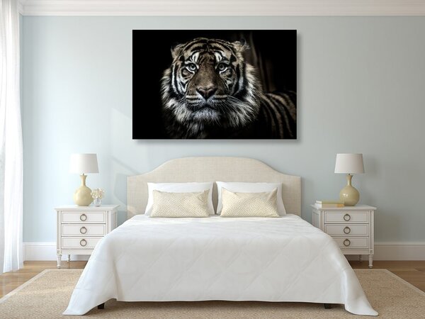 Slika tigar