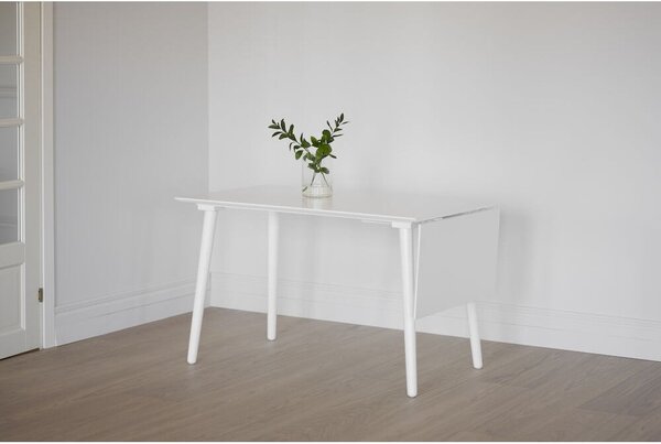 Bijeli blagovaonski stol Rowico Lotte Leaf, 120 x 80 cm