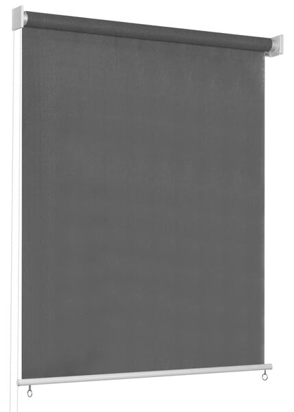 VidaXL Vanjska roleta za zamračivanje 60 x 230 cm antracit