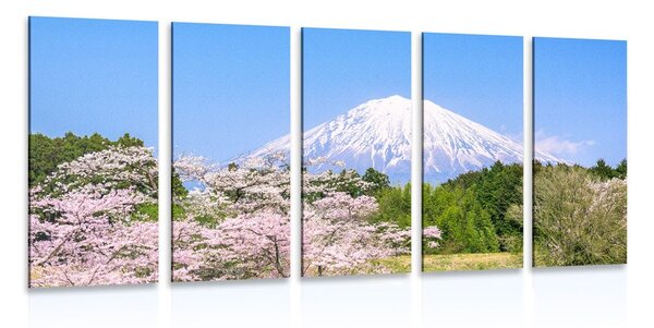5-dijelna slika vulkan Fuji