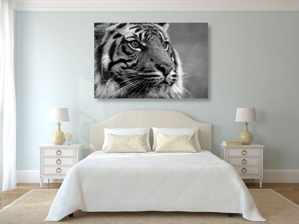 Slika bengalski tigar u crno-bijelom dizajnu