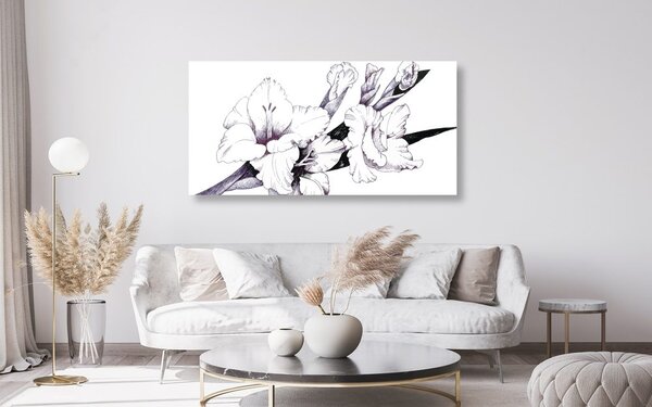 Slika ilustracija gladiole u cvatu