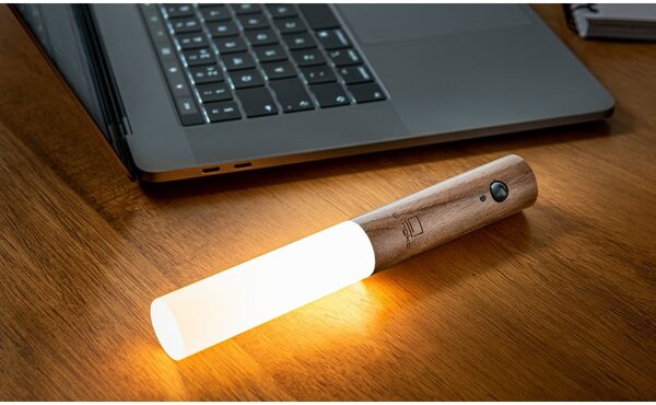 Smeđa LED zidna lampa s USB Baton – Gingko