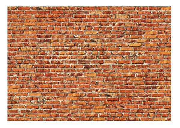 Veliki format Wallpaper Artgeist Brick zid, 400 x 280 cm