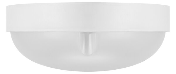 MARKUS LED C 12W 4500K IP65