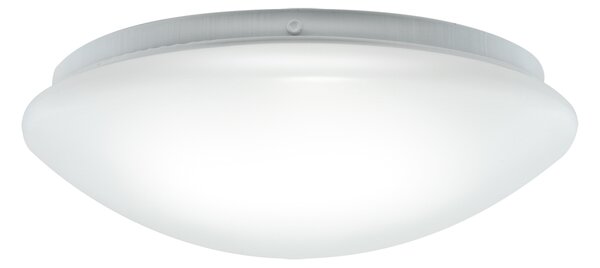 Stropna svjetiljka LEON LED C 12W 4000K IP44