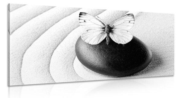 Slika Zen kamen s leptirom u crno-bijelom dizajnu