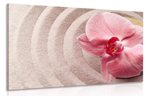 Slika morski pijesak i ružičasta orhideja