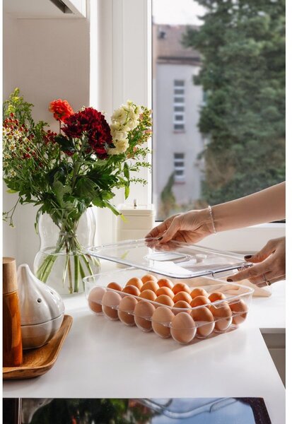 Plastičan organizator za jaja u hladnjaku 33x21 cm – Casa De Engel