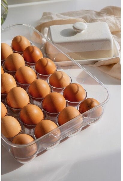 Plastičan organizator za jaja u hladnjaku 33x21 cm – Casa De Engel