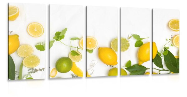 5-dijelna slika mješavina citrusa