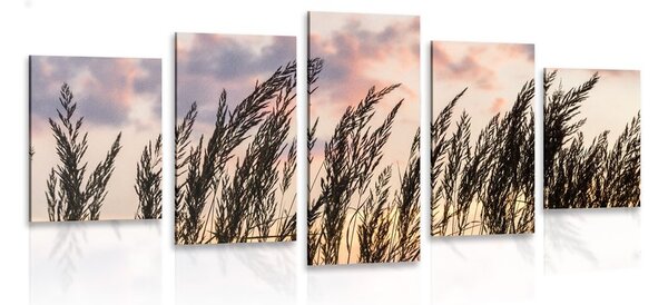 5-dijelna slika trava pri zalasku sunca