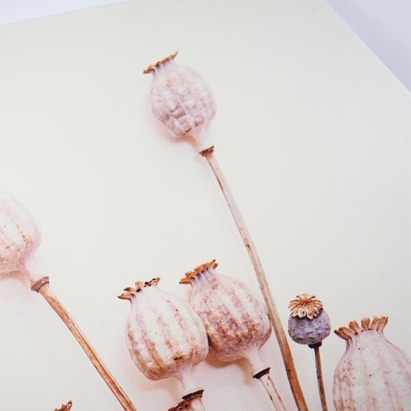 Zidna dekoracija POPPY WOOD Ø 58 cm