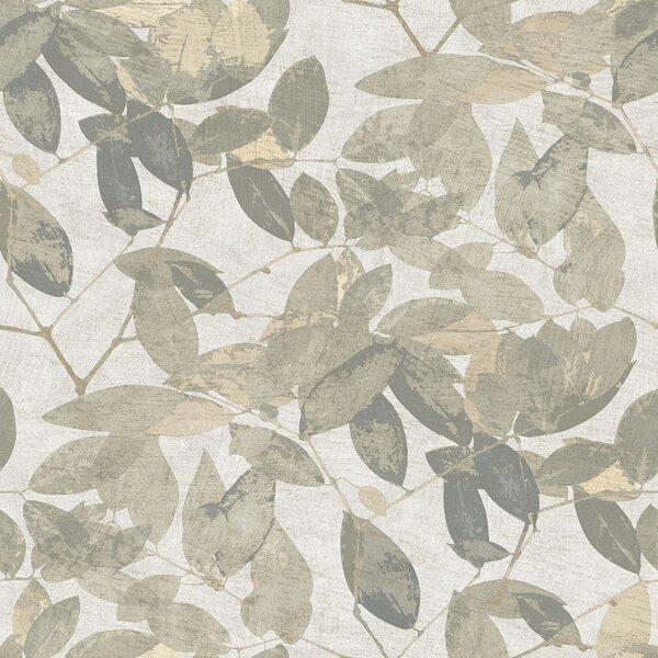 Tapeta Beech 3 boje