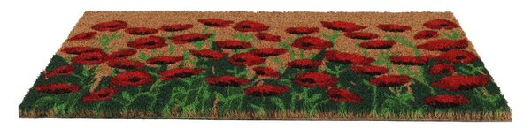 Otirač od kokosovih vlakana 40x60 cm - Esschert Design
