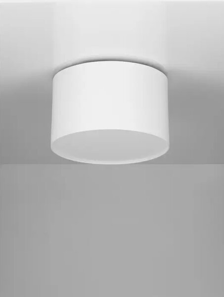 LULDO STROPNA SVJETILJKA LED/3000K/10W/588Lm/BIJELA NL9030725