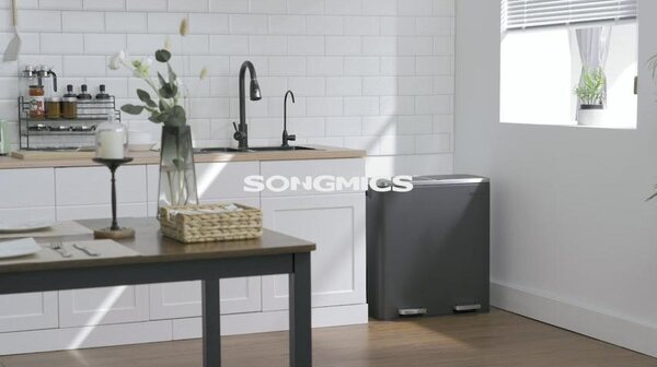 Airless metalna pedala dupla kanta za smeće, 2 x 30L, sa 15 vreća za smeće, crna | SONGMICS