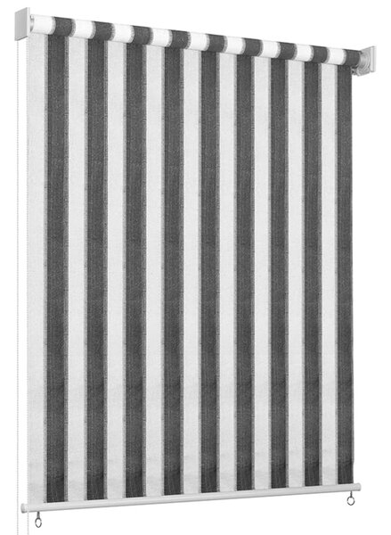 VidaXL 312692 Outdoor Roller Blind 60x230 cm Anthracite and White Stripe