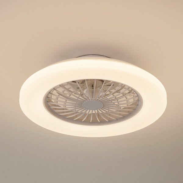 Lindby LED stropni ventilator Vedin, bijeli, DC, Ø 49 cm, CCT, prigušiva, Bijela, Dnevni boravak/blagovaonica, Plastika