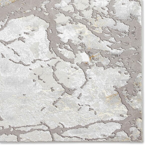 Sivo-zlatni tepih 220x160 cm Apollo - Think Rugs