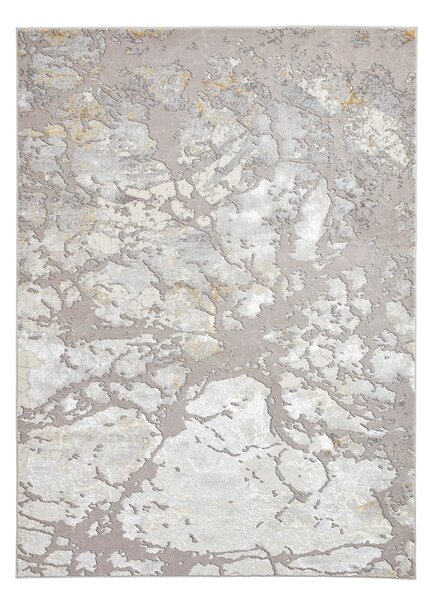 Sivo-zlatni tepih 170x120 cm Apollo - Think Rugs
