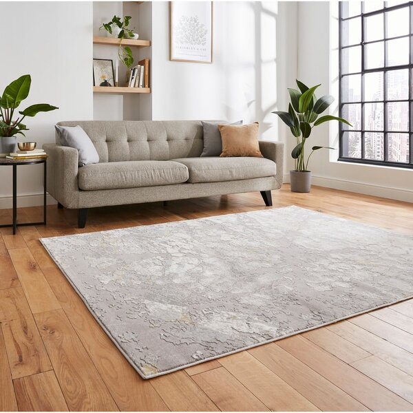 Sivo-zlatni tepih 220x160 cm Apollo - Think Rugs