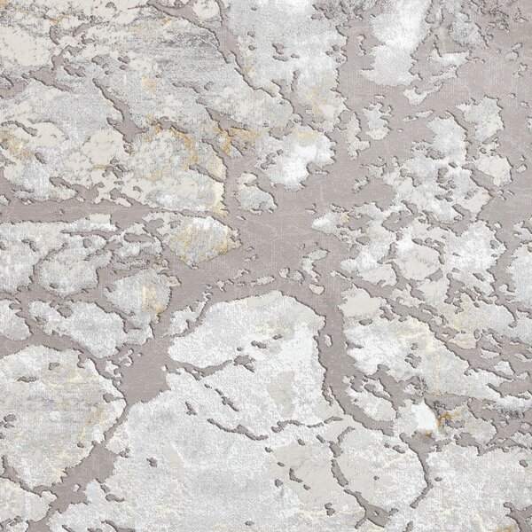 Sivo-zlatni tepih 220x160 cm Apollo - Think Rugs