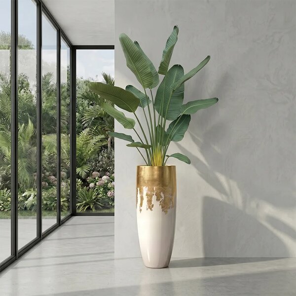 Umjetna strelicija Pure 180 cm - 151 - 180 cm