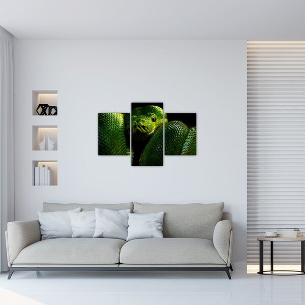Slika - Zelena Zmija (90x60 cm)