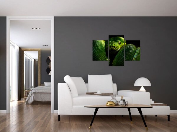 Slika - Zelena Zmija (90x60 cm)