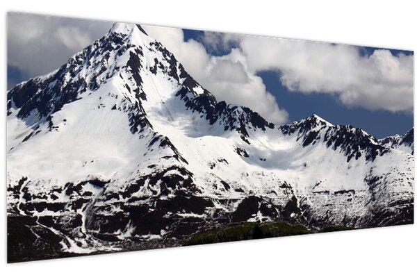 Slika - Nacionalni park Kenai Fjords (120x50 cm)