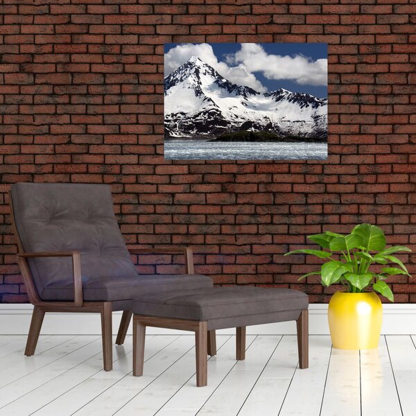 Slika - Nacionalni park Kenai Fjords (70x50 cm)