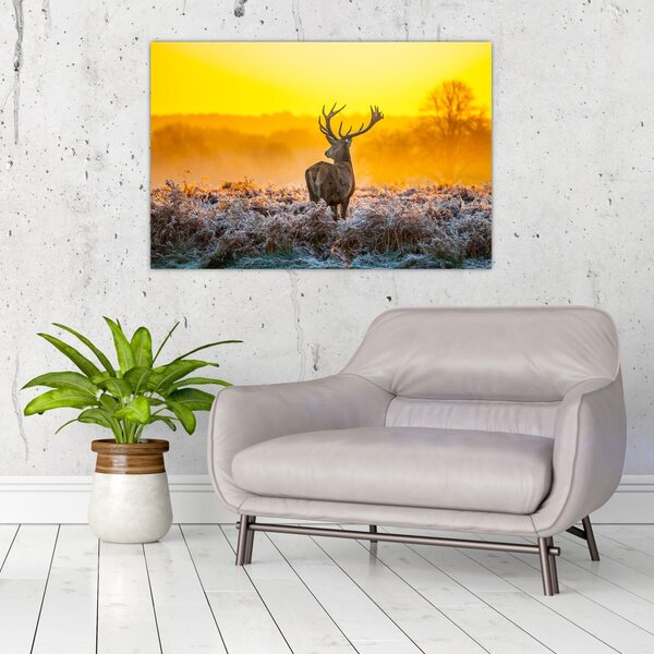 Slika - Jelen u izlasku sunca (90x60 cm)