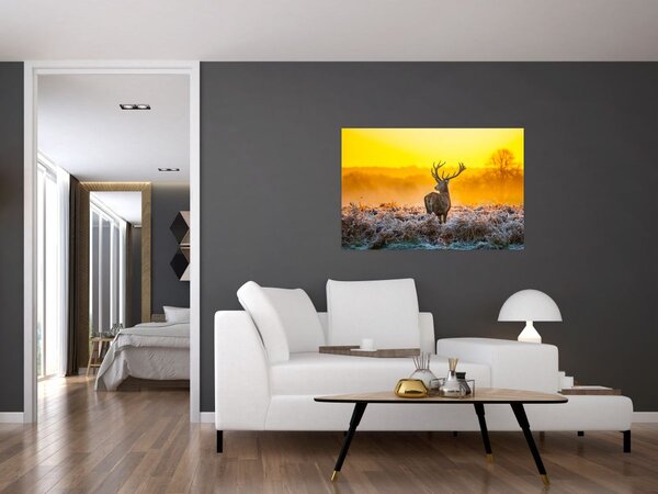 Slika - Jelen u izlasku sunca (90x60 cm)