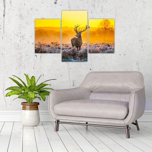 Slika - Jelen u izlasku sunca (90x60 cm)