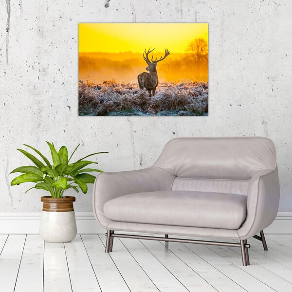 Slika - Jelen u izlasku sunca (70x50 cm)