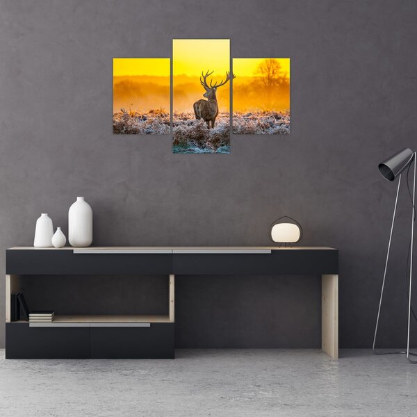 Slika - Jelen u izlasku sunca (90x60 cm)