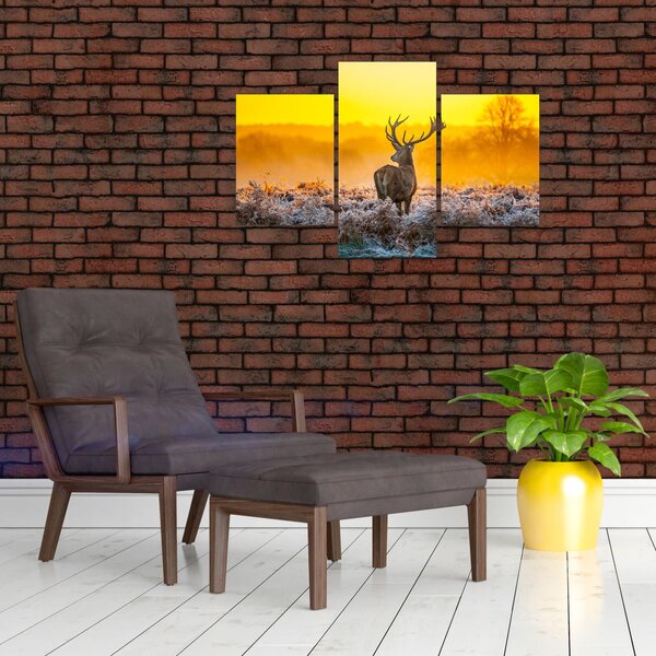 Slika - Jelen u izlasku sunca (90x60 cm)