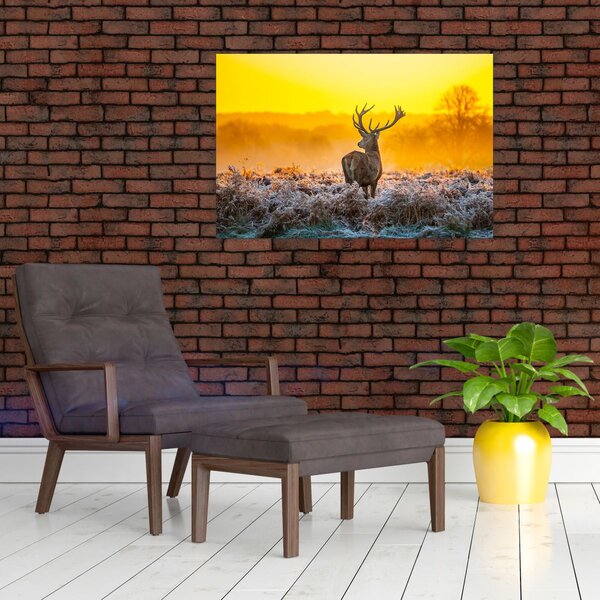 Slika - Jelen u izlasku sunca (90x60 cm)