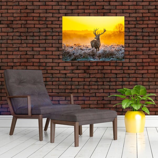 Slika - Jelen u izlasku sunca (70x50 cm)
