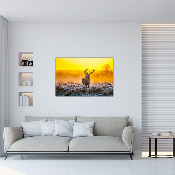 Slika - Jelen u izlasku sunca (90x60 cm)