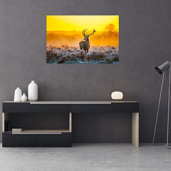 Slika - Jelen u izlasku sunca (90x60 cm)