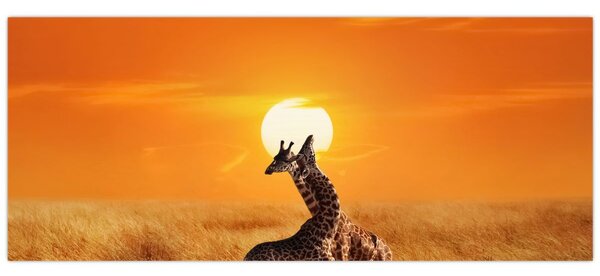 Slika - Žirafe u nacionalnom parku Serengeti (120x50 cm)