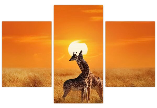 Slika - Žirafe u nacionalnom parku Serengeti (90x60 cm)