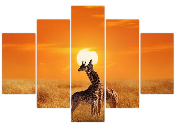 Slika - Žirafe u nacionalnom parku Serengeti (150x105 cm)