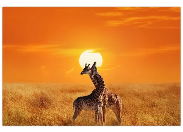 Slika - Žirafe u nacionalnom parku Serengeti (90x60 cm)