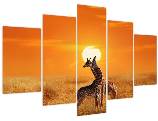 Slika - Žirafe u nacionalnom parku Serengeti (150x105 cm)