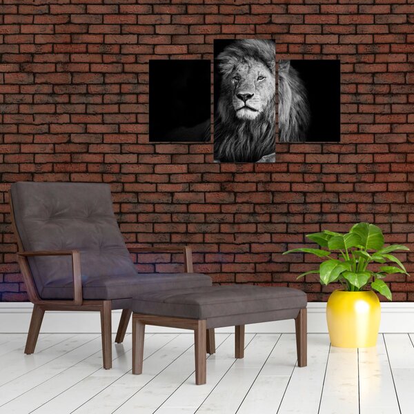 Slika - Lav, crno-bijeli (90x60 cm)
