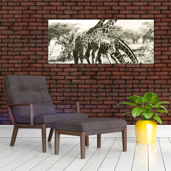 Slika - Žirafe, berba (120x50 cm)